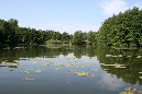 photos%20fully%20juillet%202009%20049